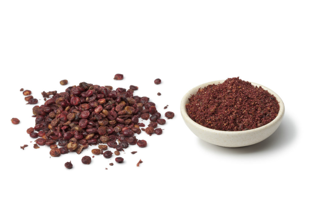 Ground Sumac and Berries