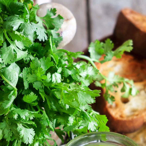 Homemade cilantro mint sauce.